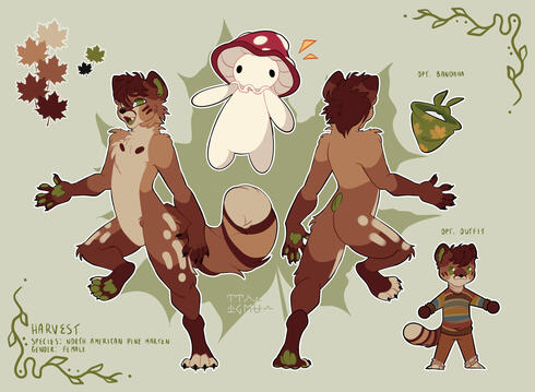Ref Sheet - Type 1
